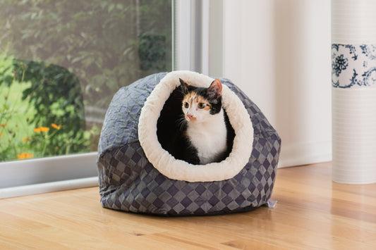 AeroMark International C44 Armarkat Cat Bed, Blue Checkered